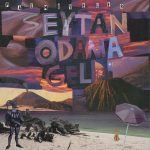 Palmiyeler – Şeytan Odama Geldi LP Plak