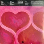 Delvon Lamarr Organ Trio – Live In Loveland! 2LP Renkli Plak - Görsel 2