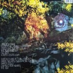 Corinne Bailey Rae - The Sea LP Renkli Plak - Görsel 2