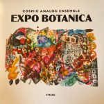 Cosmic Analog Ensemble – Expo Botanica LP Plak (Ambient)