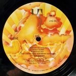 Traffic – Traffic LP Plak - Görsel 3