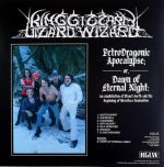King Gizzard And The Lizard Wizard – Petrodragonic Apocalypse 2LP Plak - Görsel 2