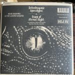 King Gizzard And The Lizard Wizard – Petrodragonic Apocalypse 2LP Plak - Görsel 3