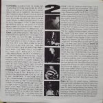 These Borwicks – Mother Of Destruction LP Plak - Görsel 3