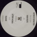 These Borwicks – Mother Of Destruction LP Plak - Görsel 4