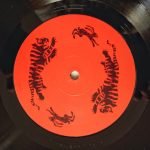 YĪN YĪN – The Rabbit That Hunts Tigers LP Plak - Görsel 4
