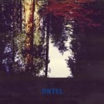 Dntel – Aimlessness LP Plak (Ambient)