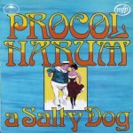Procol Harum – A Salty Dog LP Plak