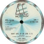Rick James – Give It To Me Baby / Don't Give Up On Love 12'' Maxi Single Plak - Görsel 2