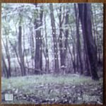 White Ring – Black Earth That Made Me LP Renkli Plak - Görsel 2