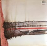 Beastie Boys – Licensed To Ill LP Plak - Görsel 2