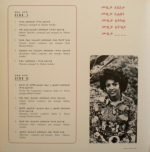 Ethiopian Modern Instrumentals Hits LP Plak - Görsel 2