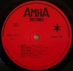 Ethiopian Modern Instrumentals Hits LP Plak - Görsel 3