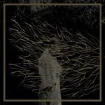 Forest Swords – Engravings 2x12'' LP Plak