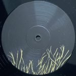 Forest Swords – Engravings 2x12'' LP Plak - Görsel 6