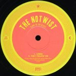 The Notwist – Close To The Glass 2LP Plak - Görsel 3