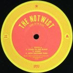 The Notwist – Close To The Glass 2LP Plak - Görsel 4