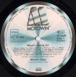 Marvin Gaye – What's Going On LP Plak - Görsel 3