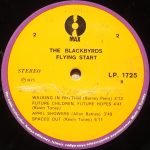 The Blackbyrds – Flying Start LP Plak - Görsel 2