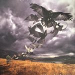 David Gilmour – Rattle That Lock CD + Blu-ray (Box Set)