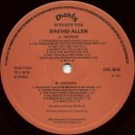 Daevid Allen – N'Existe Pas! LP Plak - Görsel 5