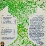 Daevid Allen – N'Existe Pas! LP Plak - Görsel 2