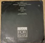 Tears For Fears – Songs From The Big Chair LP Plak - Görsel 2