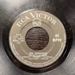 The Astronauts ‎– My Sin Is My Pride 45lik Plak (Garage Rock)
