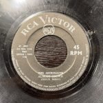 The Astronauts ‎– My Sin Is My Pride 45lik Plak (Garage Rock) - Görsel 2