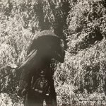 Moor Mother – Analog Fluids Of Sonic Black Holes LP Plak