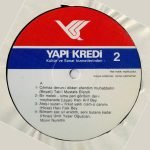 Münir Nurettin Selçuk – Üstad 2 LP Plak - Görsel 2