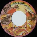 Hot – Angel In Your Arms 45lik Plak