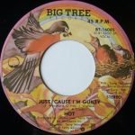 Hot – Angel In Your Arms 45lik Plak - Görsel 2