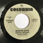 Marvin Gaye – Sexual Healing 45lik Plak - Görsel 2