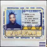Ol' Dirty Bastard – Return To The 36 Chambers: The Dirty Version 2LP Plak