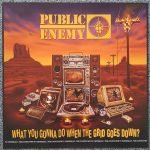Public Enemy – What You Gonna Do When The Grid Goes Down? LP Plak