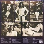 Peter Bardens ‎– The Answer LP Plak - Görsel 2