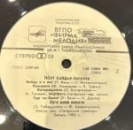 Zuhra Sahabieva And Haidar Bigichev - Spasibo Tebe... Pout Zuhra Sabieva I Hajdar Bigicev LP Plak - Görsel 3