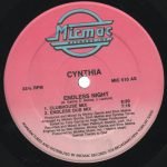 Cynthia – Endless Night 12'' Maxi Single Plak (Early House)
