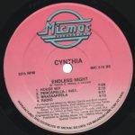 Cynthia – Endless Night 12'' Maxi Single Plak (Early House) - Görsel 2