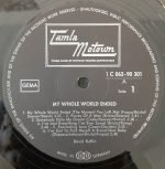 David Ruffin – My Whole World Ended LP Plak - Görsel 3