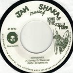 The Bush Chemists – Payments 45lik Plak