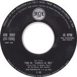 Hugo Winterhalter – Theme From "A Summer Place" 45lik Plak - Görsel 2