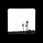 Wagner Ödegård – Øðe LP Plak