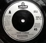 Bananarama – I Heard A Rumour 45lik Plak - Görsel 2