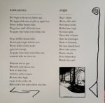 Wagner Ödegård – Panvatn LP Renkli Plak Mini Albüm - Görsel 4