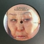 Sainkho Namtchylak – Where Water Meets Water: Bird Songs & Lullabies LP Plak - Görsel 3