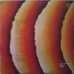 Stevie Wonder – Songs In The Key Of Life 2LP + 7'' Plak - Görsel 2