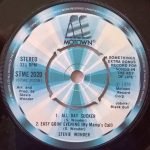 Stevie Wonder – Songs In The Key Of Life 2LP + 7'' Plak - Görsel 4