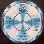 Stevie Wonder – Songs In The Key Of Life 2LP + 7'' Plak - Görsel 3